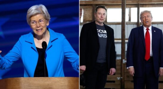 Elizabeth Warren verdreht die Augen ueber Elon Musk Vivek Ramaswamys