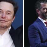 Elon Musk kauft MSNBC Elon Musk fragt Donald Trump Jr