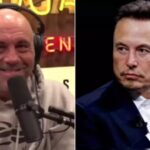 Joe Rogan ist dazu bereit wenn Elon Musk MSNBC kauft