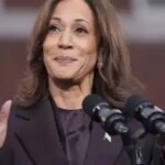 Kamala Harris Umfrage Guru Nate Silver kritisiert die Kampagne von Kamala