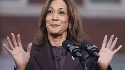 Kamala Harris Umfrage Guru Nate Silver kritisiert die Kampagne von Kamala