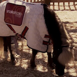 Lil Sebastian hatte am Set von Parks And Recreation eine