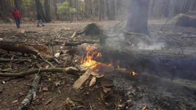 Mitarbeiter von New York Parks stirbt im Kampf gegen Waldbraende