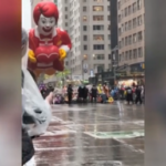 Pro Palaestina Demonstranten blockieren Thanksgiving Parade VIDEO – World