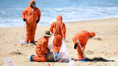 Sydneys „geheimnisvolle giftige schwarze Wasserbaelle entpuppen sich als kleine Kotkleckse