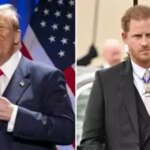 Trump koennte Prinz Harry nicht aus „Gefallen an Koenig Charles