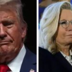 Trump ueber Liz Cheney Trump sagt dass man Liz Cheney