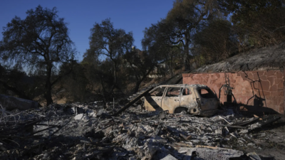 Ueber 130 Haeuser bei Waldbrand in Kalifornien verloren seltenes Buschfeuer