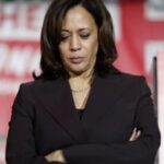 Wenn Kamala sprechen wird Kamala Harris und die grossen Demokraten