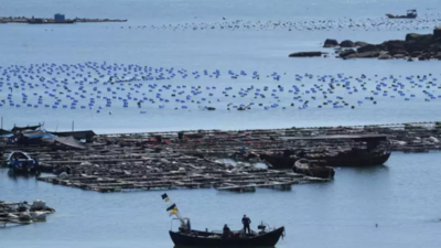 Chinas maritime Uebungen warnen davor die „rote Linie vor Trumps