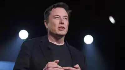 Doppelmoral von Elon Musk Internetnutzer erinnern sich an „Beleidigungen haitianischer