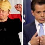 Elon Musk Anthony Scaramucci Elon Musk reagiert auf Anthony Scaramuccis