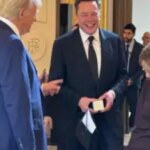 Elon Musk Meloni Neues Foto Trump nannte das „dritte Rad