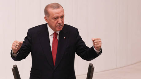 Erdogan wuenscht Terroristen in Syrien viel Glueck – World