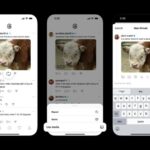 Instagram Threads fuegt die Funktion „Medien verwenden zum erneuten Teilen