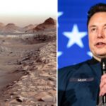 Mars oder neue Welt Elon Musks mutiger Plan die Zukunft