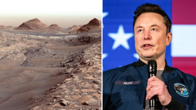 Mars oder neue Welt Elon Musks mutiger Plan die Zukunft