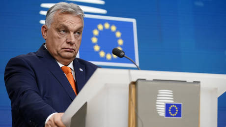 Orban macht Migration fuer toedlichen Angriff in Deutschland verantwortlich –