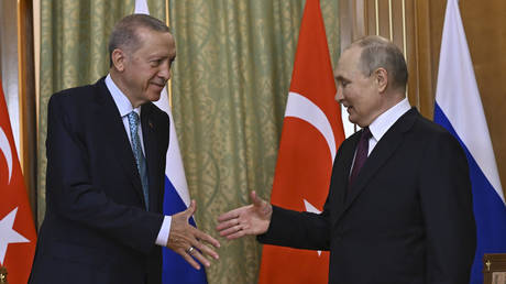 Putin und Erdogan diskutieren ueber Syrienkrise – World