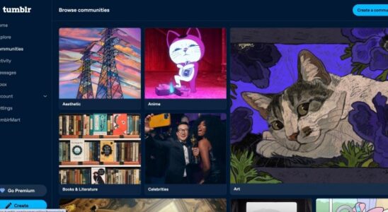 Tumblr startet seine interessenorientierten Communities aus der Betaphase