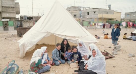 UNICEF Sprecher sagt der Voelkermord im Gazastreifen habe ihn gezwungen neue