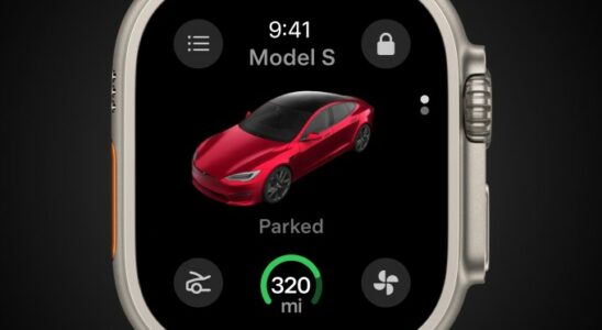 Zu den Tesla Updates gehoeren die Apple Watch App und ein Furzstreich