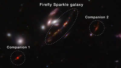 „Firefly Sparkle Das James Webb Teleskop der NASA findet eine winzige milchstrassenaehnliche