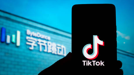 China erwaegt den Verkauf von TikTok an Musk – Bloomberg