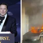 Elon Musk Cybertruck Explosion Hat Elon Musk freiwillig bei der Cybertruck Explosion