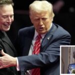 Elon Musk Susie Wiles Wird Elon Musks Zugang zu Donald