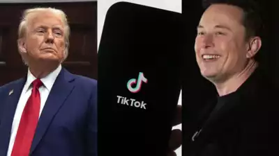 Elon Musk will TikTok kaufen Was Praesident Donald Trump nach