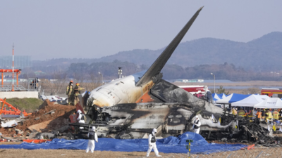 Jeju Air Flugabsturz Jeju Air Tragoedie Haben Voegel den suedkoreanischen Flugzeugabsturz verursacht