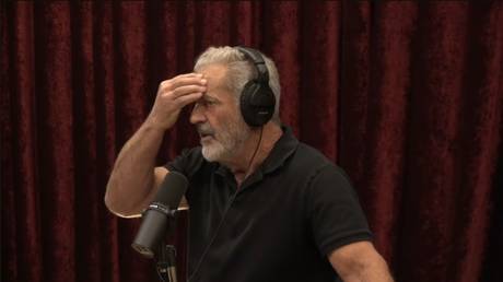 Joe Rogan und Mel Gibson wundern sich darueber dass Anthony