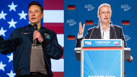 Kernpunkte aus Musks Gespraech mit AfD Chef – World