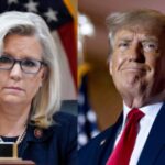 Liz Cheney „Donald das ist nicht die Sowjetunion Liz Cheney