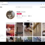 Meta aufgeben Open Source Alternativen zu Instagram TikTok und WhatsApp Spenden auf Kickstarter