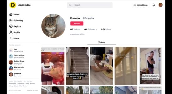 Meta aufgeben Open Source Alternativen zu Instagram TikTok und WhatsApp Spenden auf Kickstarter