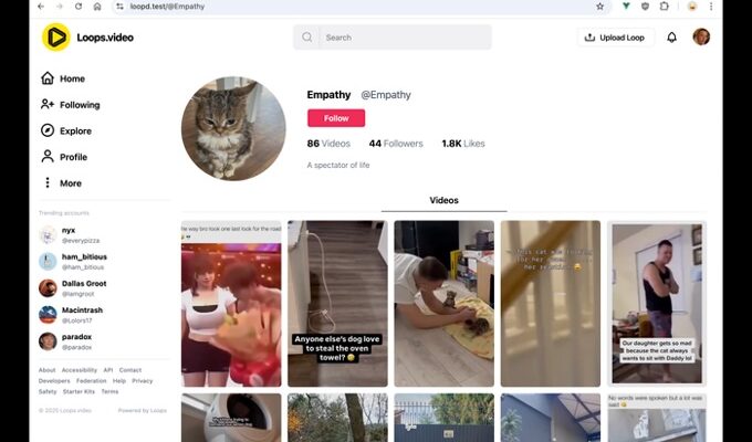 Meta aufgeben Open Source Alternativen zu Instagram TikTok und WhatsApp Spenden auf Kickstarter