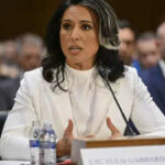 Tulsi Gabbard Bestaetigung Anhoerung Trumps Auswahlbacktracks zur Begnadigung Brave Snowden