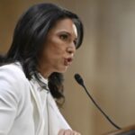 Tulsi Gabbard trifft die Demokraten ueber Putin Modi Puppet in