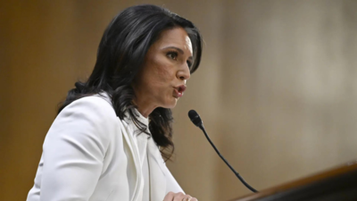 Tulsi Gabbard trifft die Demokraten ueber Putin Modi Puppet in