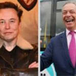 Verbuendete von Nigel Farage bezeichnen Musk angesichts der eskalierenden Fehde