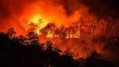 Waldbraende in LA Musik Megastars treten bei FireAid auf um Spenden