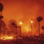 Waldbraende in Los Angeles Zahl der Todesopfer bei Waldbraenden in