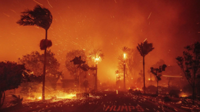 Waldbraende in Los Angeles Zahl der Todesopfer bei Waldbraenden in