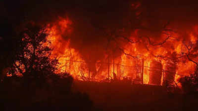 Waldbrand in den USA 30000 Menschen muessen evakuiert werden waehrend