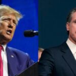 „Alles seine Schuld Donald Trump macht Gavin Newsom fuer die