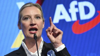 Alice Weidel Wer ist Alice Weidel Deutschlands schwuler rechtsextremer AFD Anfuehrer