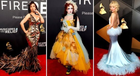 Bewertung des 2025 Grammys roten Teppichs von Fluffiness