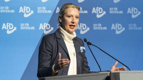 Der AFD Fuehrer verspricht die Grenzen Deutschlands zu schliessen